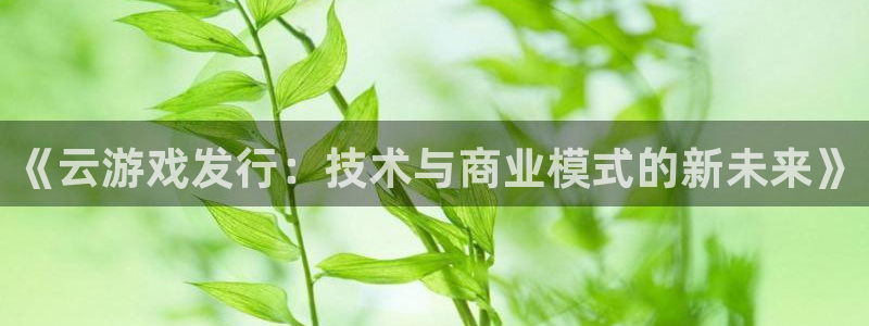 火狐电竞登录注册账号失败怎么回事：《云游戏发行：技术与商业模式的新未来》