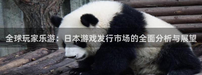 江苏火狐电竞app官网人力资源有限公司怎么样