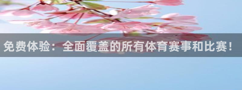 qy球友会体育网址