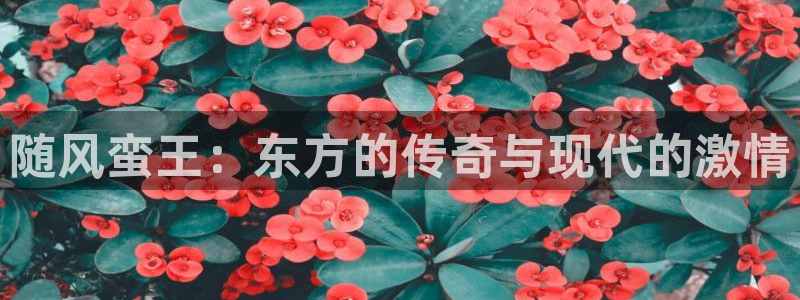 球友体育官网