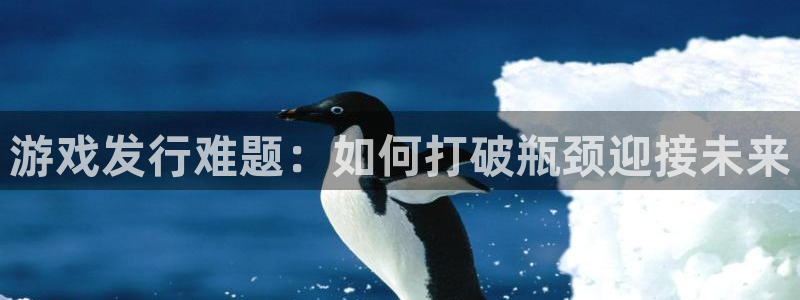 火狐电竞注册平台是什么