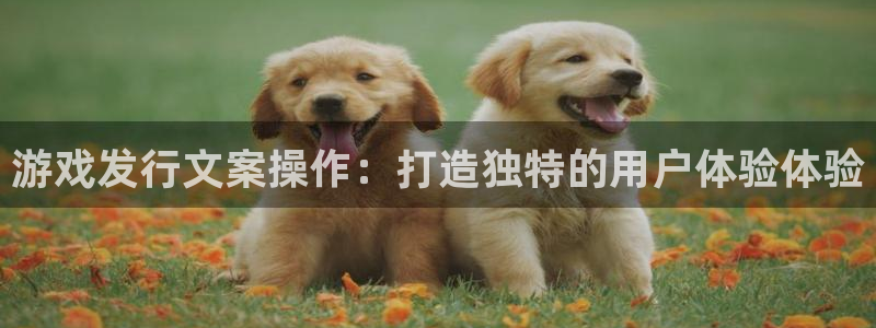 火狐电竞app官网电商怎么样