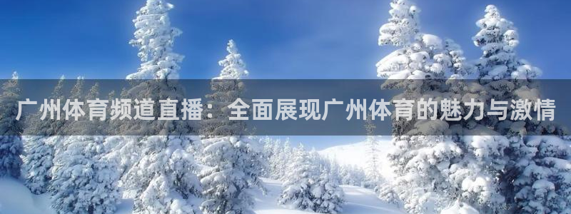 球友nba直播：广州体育频道直播：全面展现广州体育的魅力与激情
