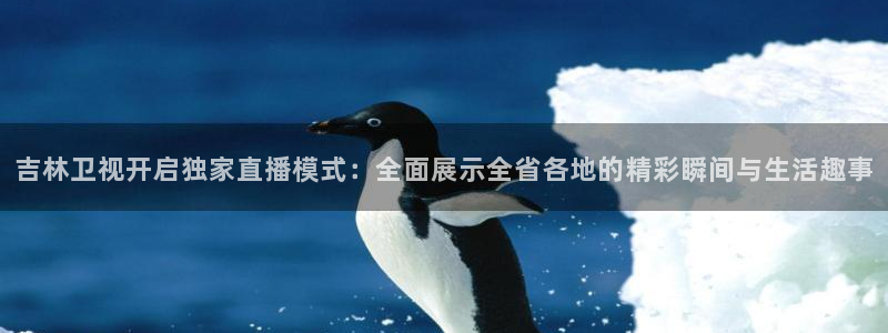 qy体育球友会：吉林卫视开启独家直播模式：全面展示全省各地的精彩瞬间与生活趣事