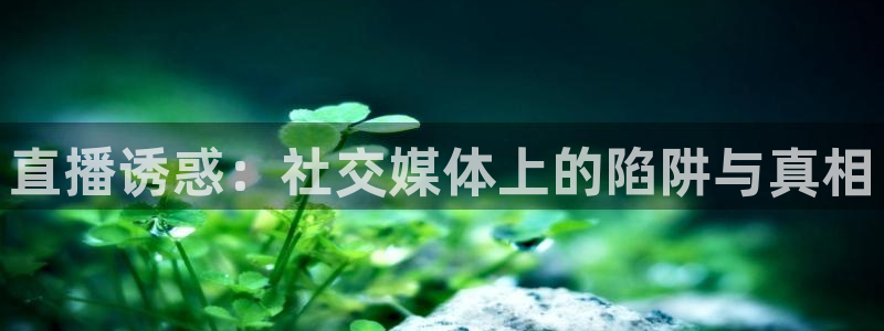 球友直播平台：直播诱惑：社交媒体上的陷阱与真相