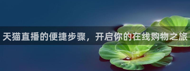 nba球友直播：天猫直播的便捷步骤，开启你的在线购物之旅