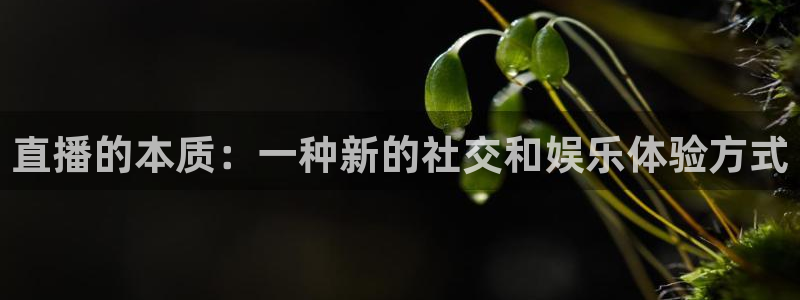 qy球友会体育网址：直播的本质：一种新的社交和娱乐体验方式