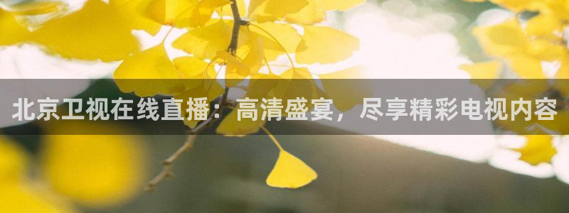 qy球友会体育官网：北京卫视在线直播：高清盛宴，尽享精彩电视内容